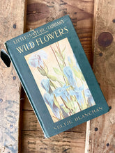 Load image into Gallery viewer, little nature library wild flowers
