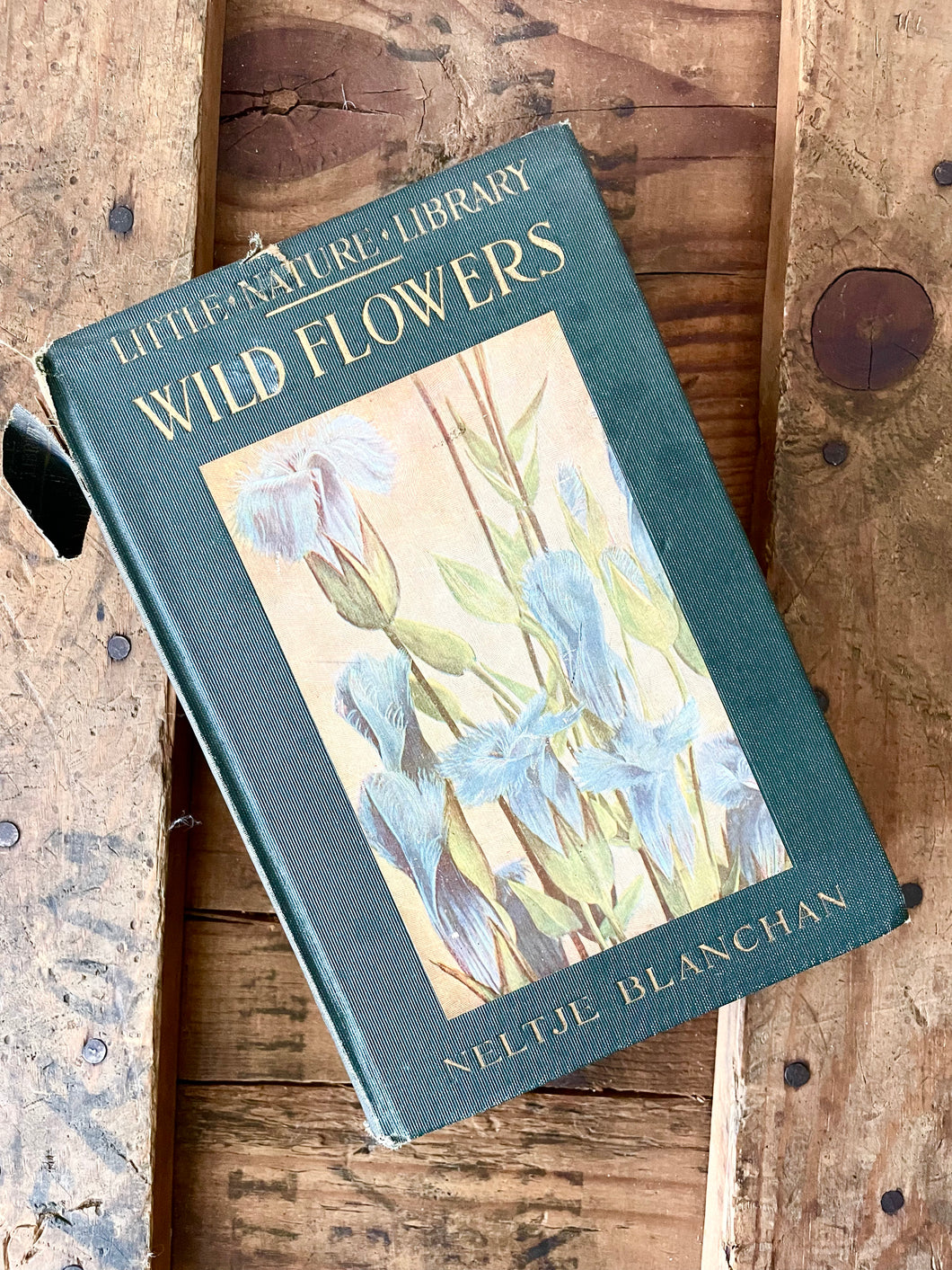 little nature library wild flowers